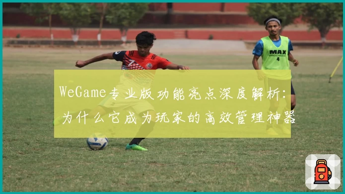 WeGame专业版功能亮点深度解析:为什么它成为玩家的高效管理神器