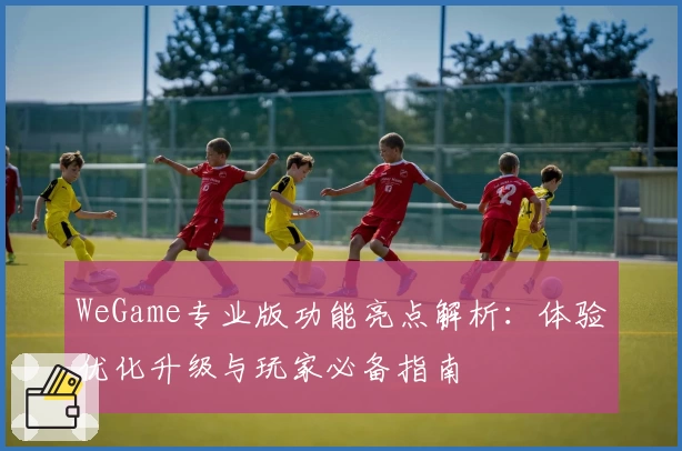 WeGame专业版功能亮点解析：体验优化升级与玩家必备指南