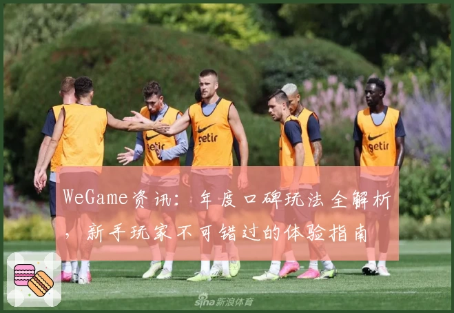WeGame资讯:年度口碑玩法全解析,新手玩家不可错过的体验指南