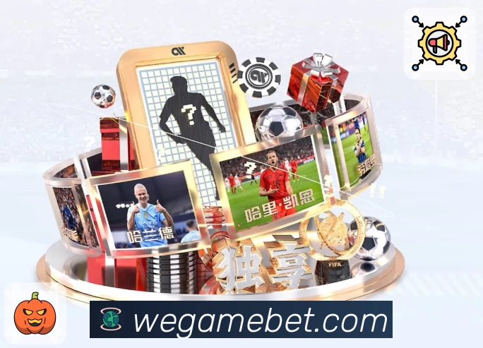 体育平台欢迎图